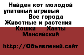 Найден кот,молодой упитаный игривый 12.03.2017 - Все города Животные и растения » Кошки   . Ханты-Мансийский